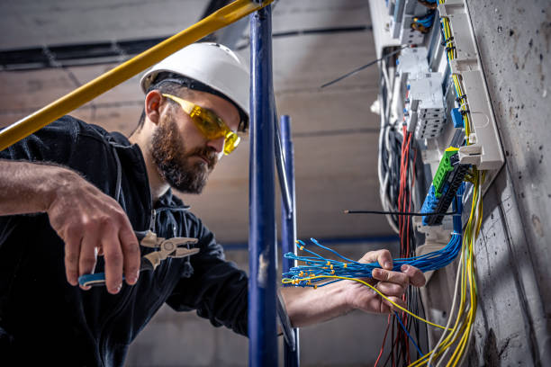 Best Electrical System Inspection  in Willow Oak, FL