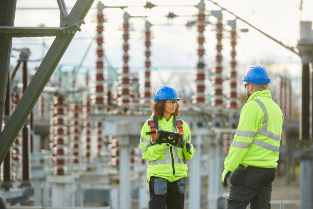 Best Electric Panel Repair  in Willow Oak, FL