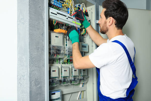 Best Electrical Troubleshooting Services  in Willow Oak, FL